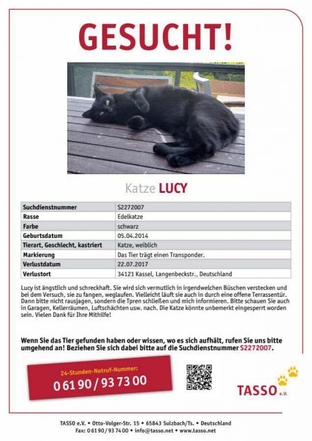 Vermisst: Kätzin Lucy (S2272007) / © 2017 TASSO e.V.