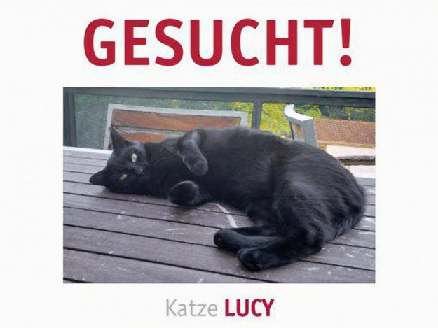 Vermisst: Kätzin Lucy (S2272007) / © 2017 TASSO e.V.