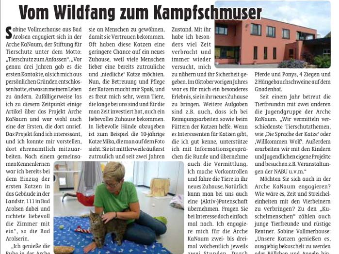 Auszug aus dem Korbacher Boten vom 28. Juli '17, Ausgabe 233 / © Korbacher Bote 2017