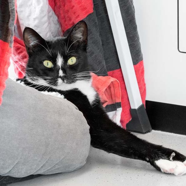 170823_esra_338_v1kkt