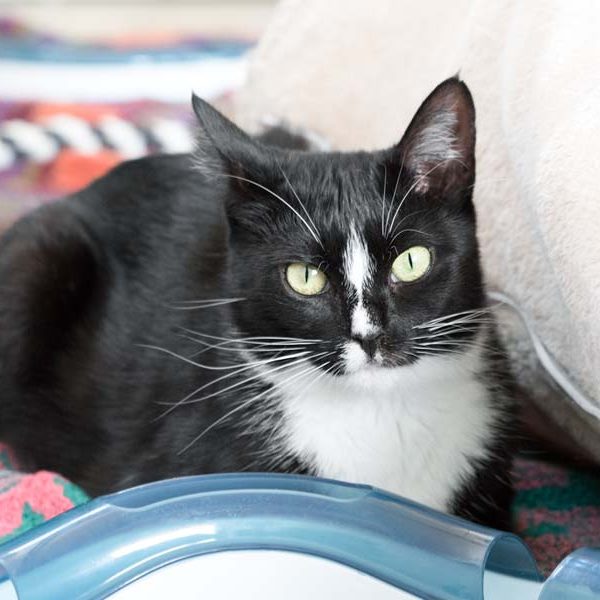 170823_esra_508_v1kkt