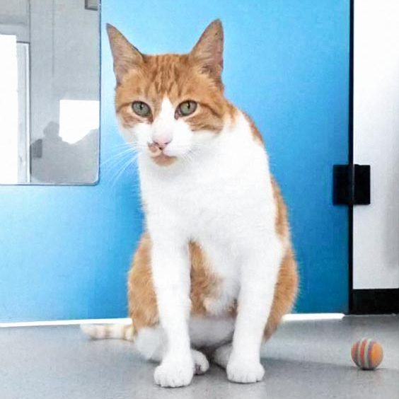 170914_kobold_002_v1kk