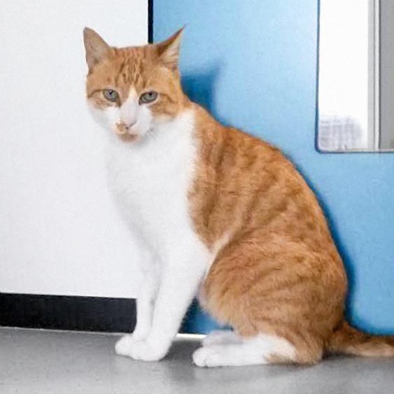 170914_kobold_003_v1kk