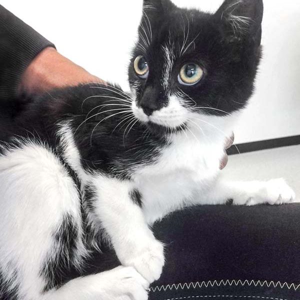 Kätzin Juma  /  © 2017 Arche KaNaum (DN) Kätzin Juma / © 2017 Arche KaNaum (DN)