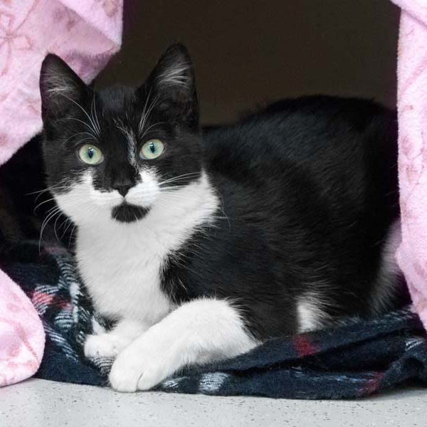 Kätzin Juma  /  © 2017 Arche KaNaum (NH) Kätzin Juma / © 2017 Arche KaNaum (NH)