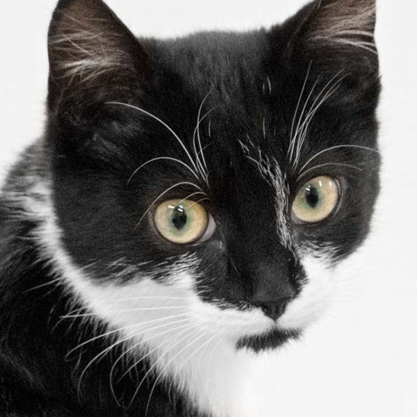 Kätzin Juma  /  © 2017 Arche KaNaum (NH) Kätzin Juma / © 2017 Arche KaNaum (NH)