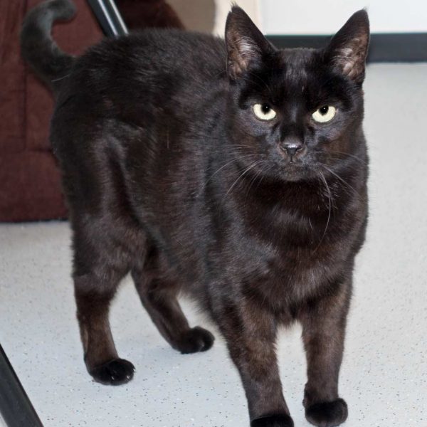 Kätzin Fila  / © 2015 Arche KaNaum (NH) Kätzin Fila / © 2015 Arche KaNaum (NH)