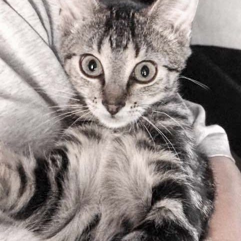 Kätzin Thordis / © 2018 Arche KaNaum (DN) Kätzin Thordis / © 2018 Arche KaNaum (DN)