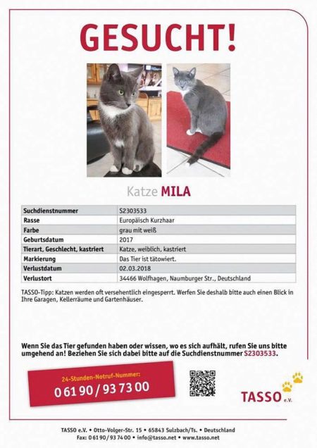 Vermisst: Kätzin Mila (S2303533) / © 2018 TASSO e.V.