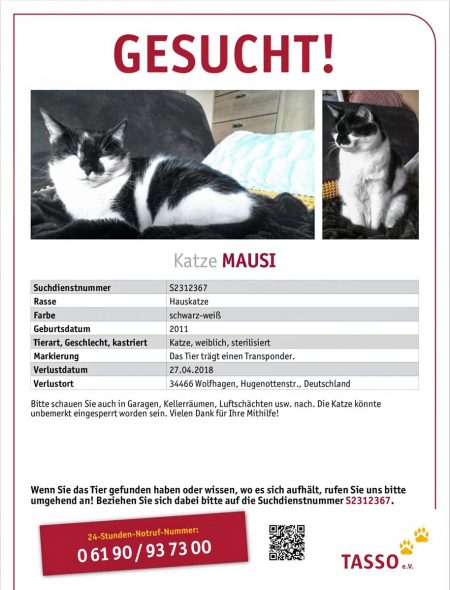 Vermisst: Kätzin Mausi (S2312367) / © 2018 TASSO e.V.