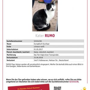 Vermisst: Kater Rumo (S2324238) / © 2018 TASSO e.V.