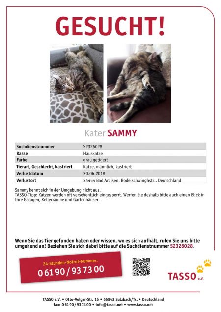 Vermisst: Kater Sammy (S2326028) / © 2018 TASSO e.V.