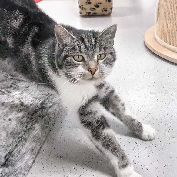 Kätzin Maxime / © 2018 Arche KaNaum (DN)