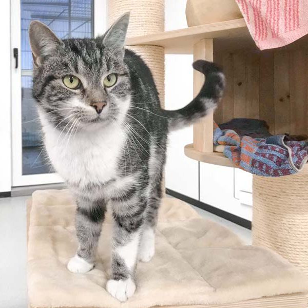 Kätzin Maxime / © 2018 Arche KaNaum (DN)