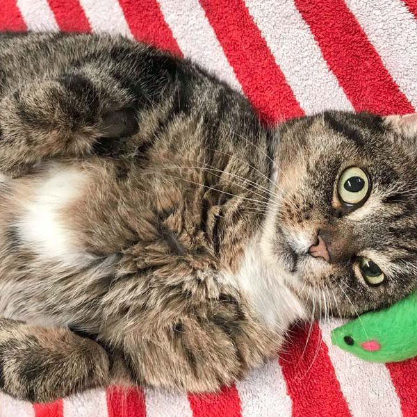 Kätzin Oma Tini / © 2018 Arche KaNaum (DN)