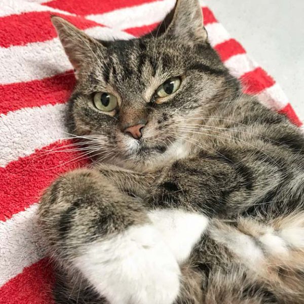 Kätzin Oma Tini / © 2018 Arche KaNaum (DN)