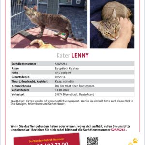 Suchmeldung zu Kater Lenny  /  © 2020 TASSO e.V. Suchmeldung zu Kater Lenny / © 2020 TASSO e.V.