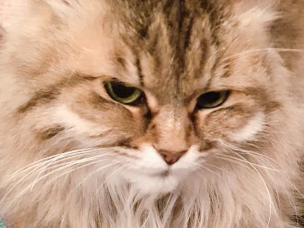 Kätzin Cassey / © 2021 Privat Kätzin Cassey / © 2021 Privat