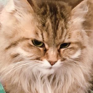 Kätzin Cassey / © 2021 Privat Kätzin Cassey / © 2021 Privat