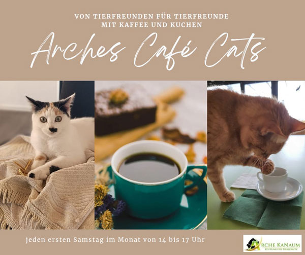 Herzliche Einladung zu unserem Arche Cats Café