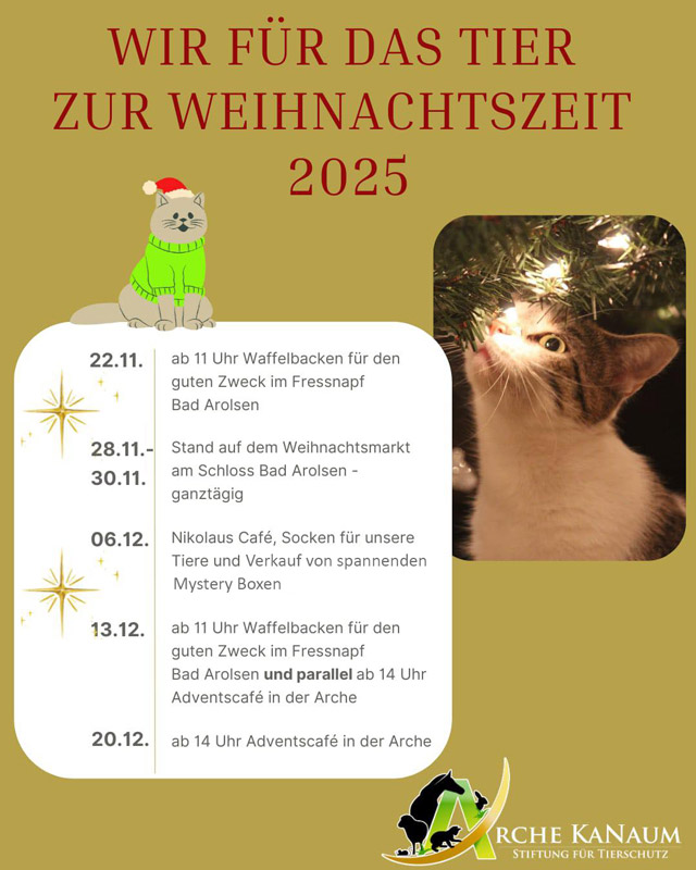 Unser Programm rund um Weihnachten 2025