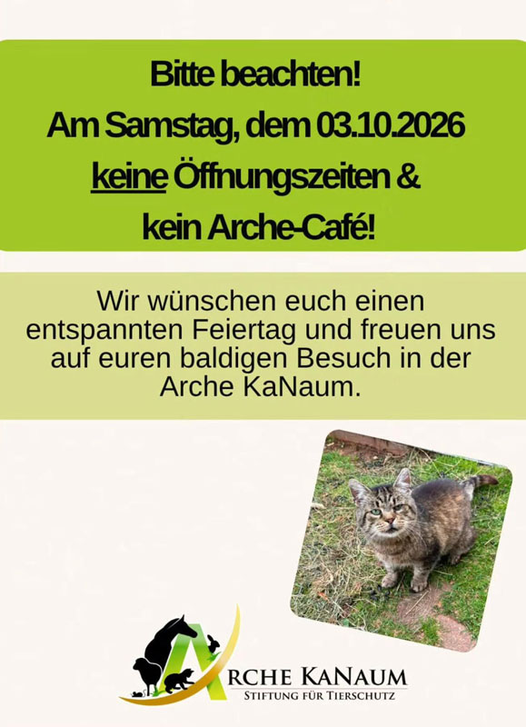 Am 03.10.2026 keine Öffnungszeiten und kein Katzen-Café in der Arche!