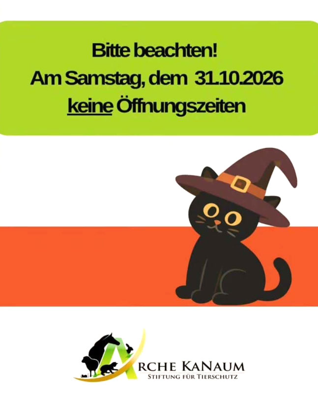 Am 31.10.2026 keine Öffnungszeiten in der Arche!